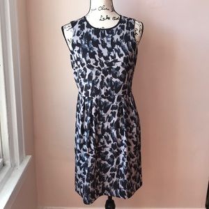 Ann Taylor LOFT Size 2 Zipper Back Dress